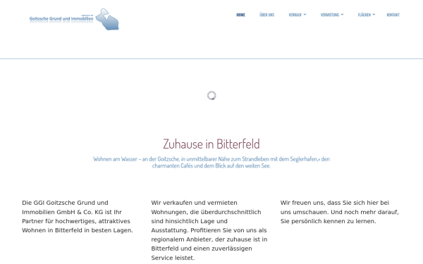 ggi-bitterfeld.de
