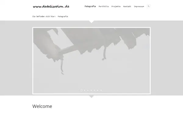 datalization.de