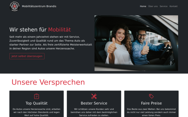mzbrandis.de
