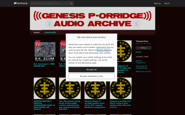 theearchive.bandcamp.com