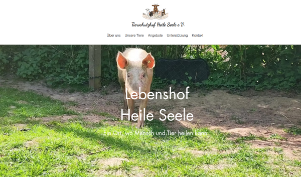 www.tierschutzhofheileseele.de
