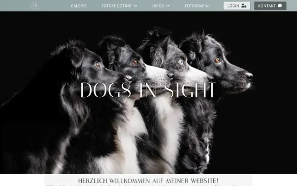www.dogs-in-sight.de