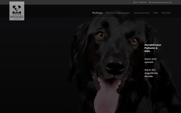 mydogs.de