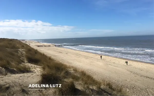 adelina-lutz.de