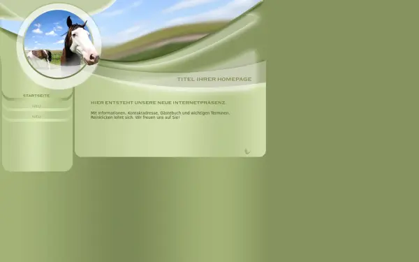 haflinger-kutschen.de