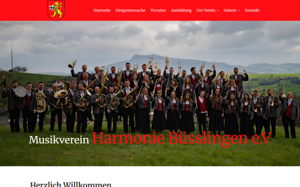mvbuesslingen.de