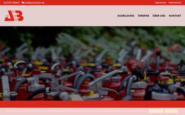 www.baumholzer.de