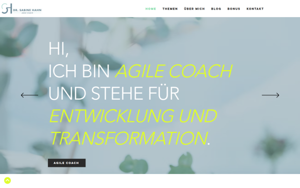 www.sabine-hahn.com