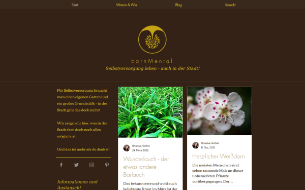 www.earn-mental.com