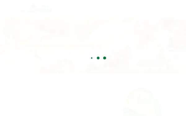 dizefa.net
