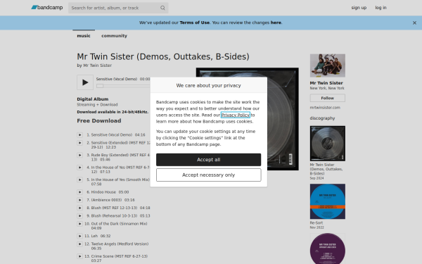 mrtwinsister.bandcamp.com