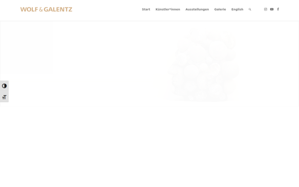 wolf-galentz.de