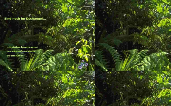 manic-botanic.de