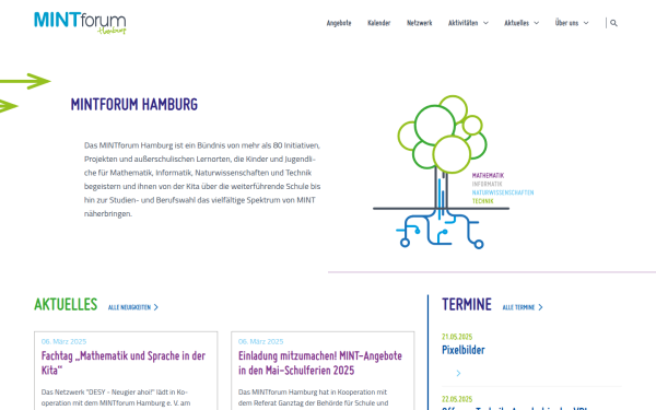 mintforum.de