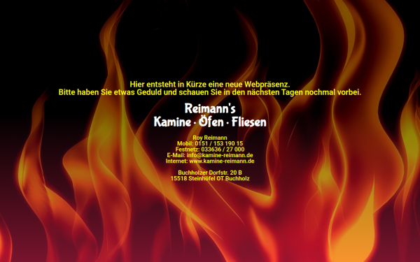 www.kamine-reimann.de