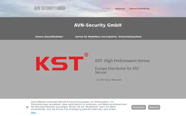 www.avn-security.com