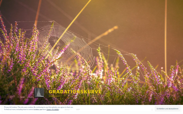www.gradationskurve.de