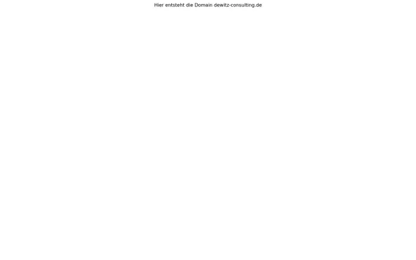 dewitz-consulting.de