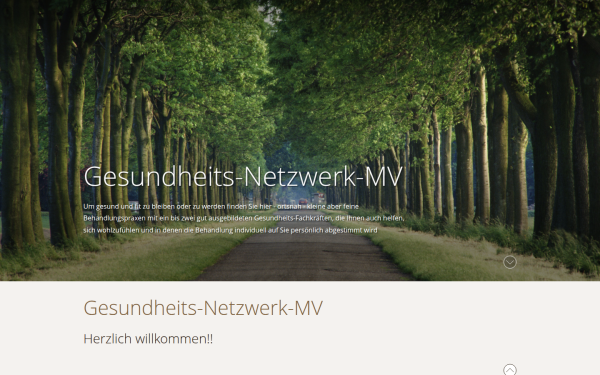 gesundheitsnetzwerk-mv.de