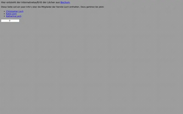 dieloecher.de