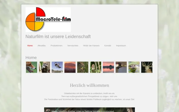 www.macrotele-film.de