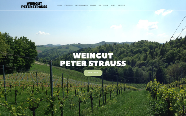 www.weingut-peterstrauss.at