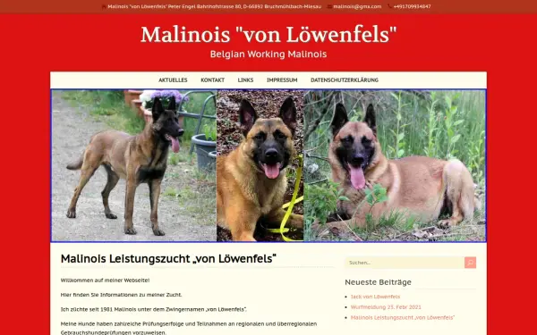 loewenfels.info