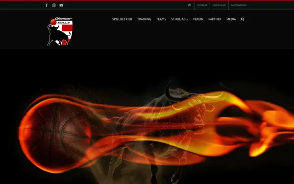 www.wismar-bulls.de