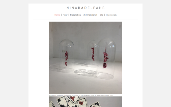 www.ninaradelfahr.de