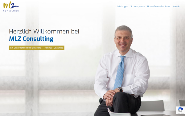 www.mlz-consulting.de