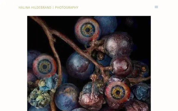 halinahildebrand.eu