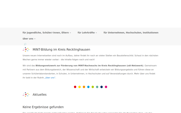 www.mint-regio.de