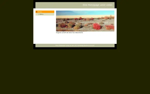 angerexpress.de