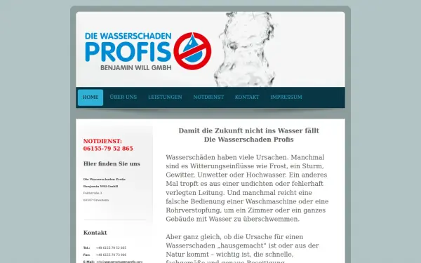 www.die-wasser-schaden-profis.de
