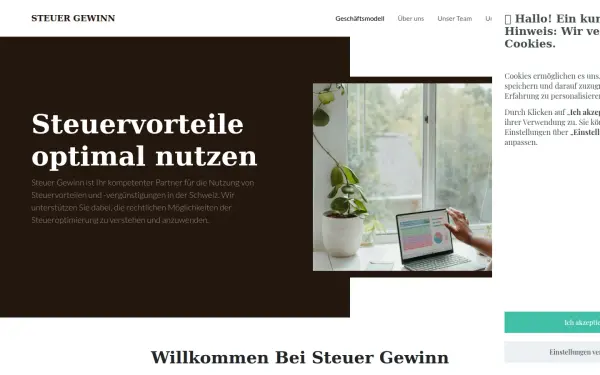 steuergewinn.com