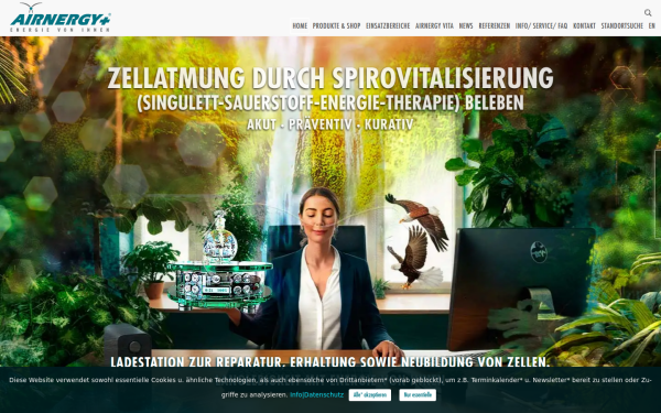 airnergy.com