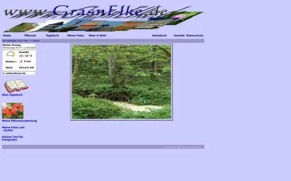 grasnelke.de