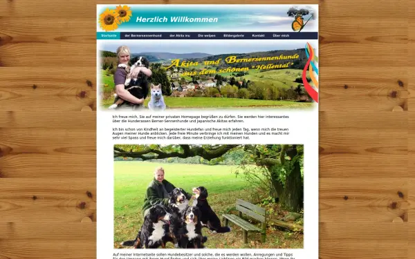 akita-bernersennenhund.de
