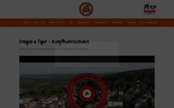 dragonandtiger.de