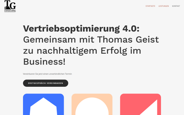 geist-consulting.de