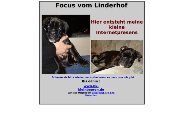mein-deutscher-boxer.de