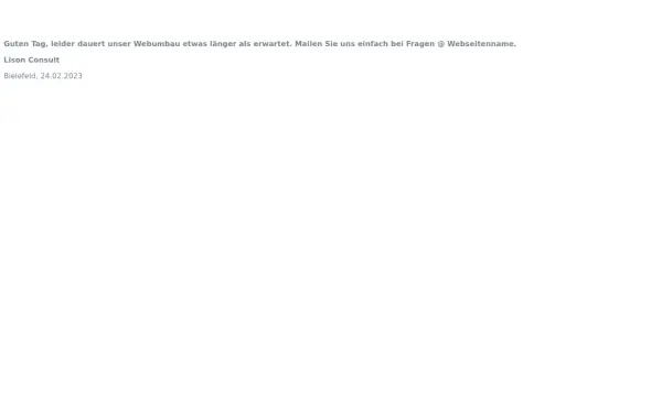 lison-consult.de