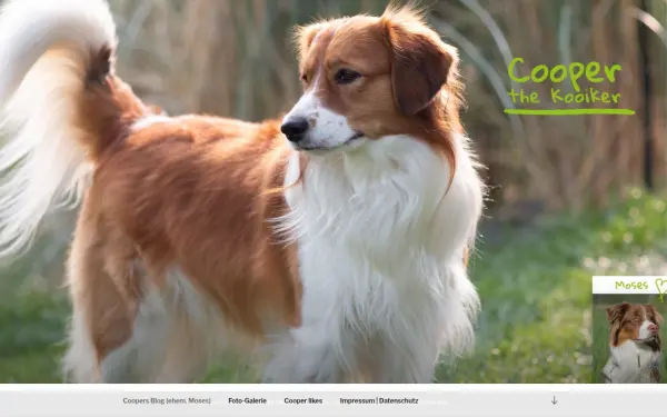 dogmoe.de