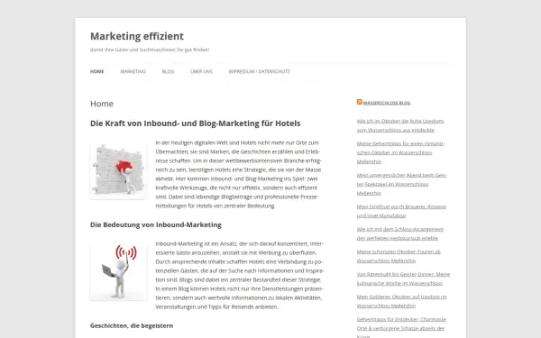 marketing-effizient.de