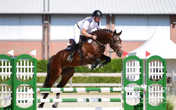 hengststation-ckl.de