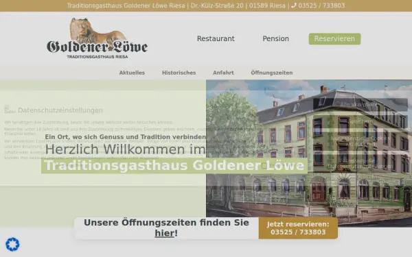 www.goldener-loewe-riesa.de