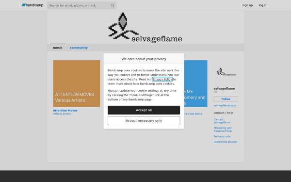 selvageflame.bandcamp.com