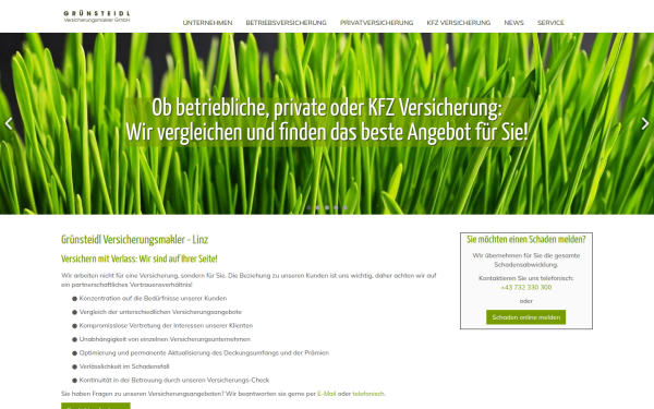 www.gruensteidl.at