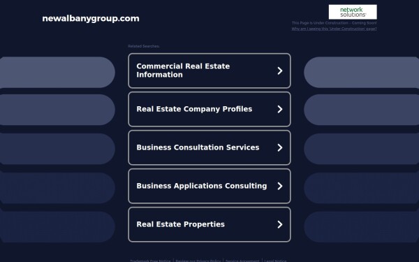 newalbanygroup.com