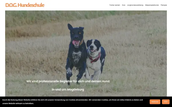 www.dog-hundeschule.de